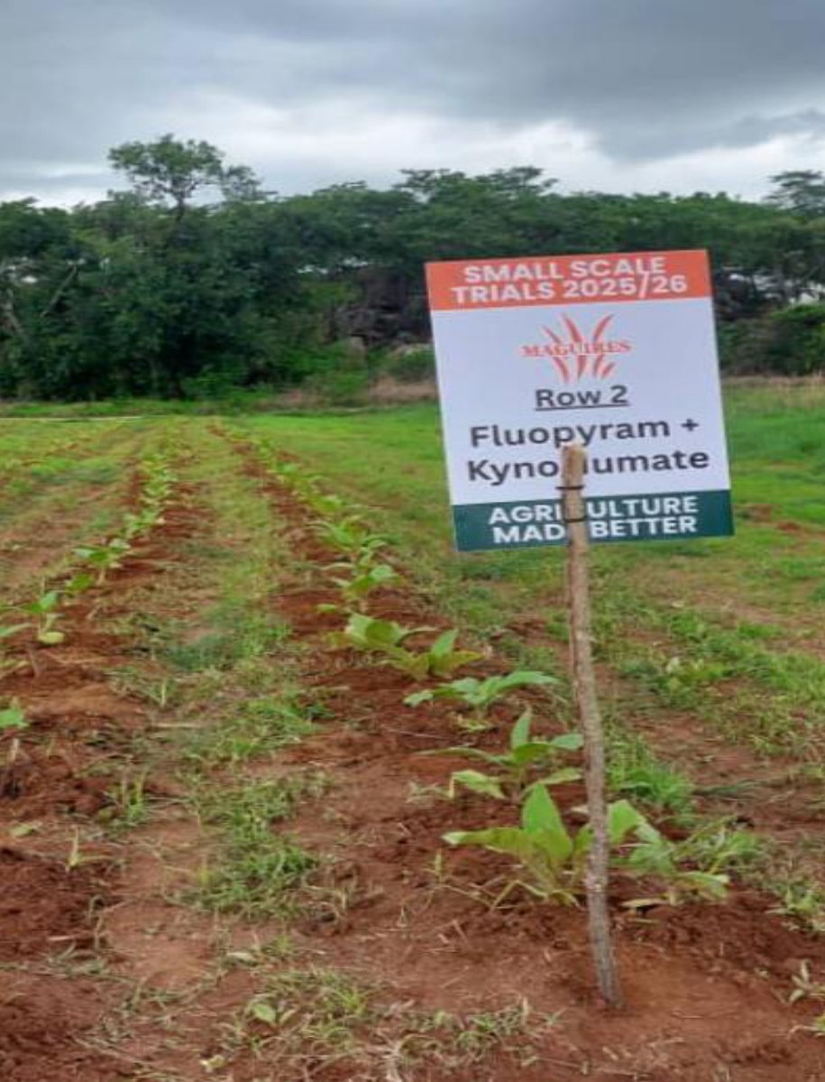 Row 2 Fluopyram + Kyno-Humate trial sign