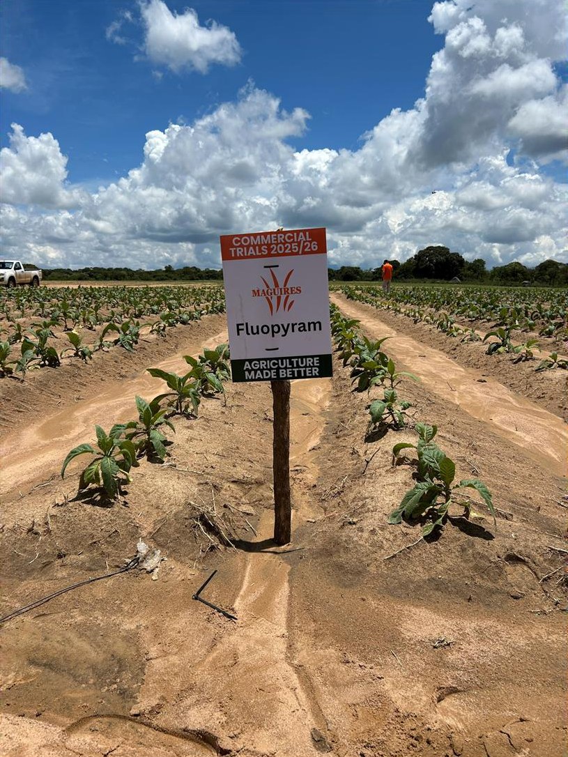 Fluopyram plot at the first visit, 10 December