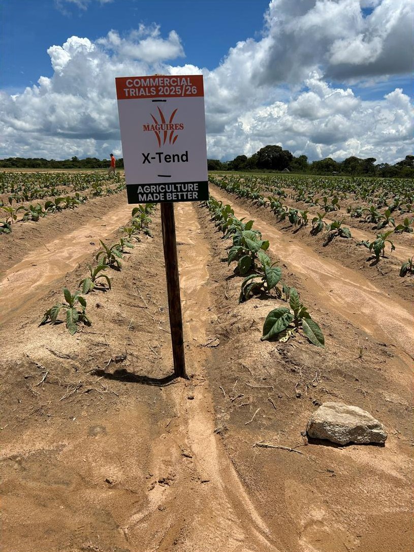X-Tend plot at the first visit, 10 December