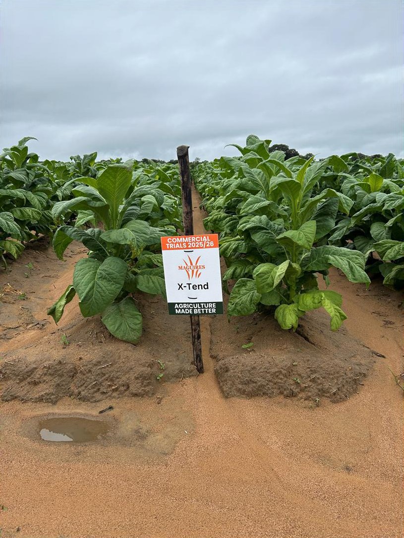 X-Tend plot at the second visit, 13 January