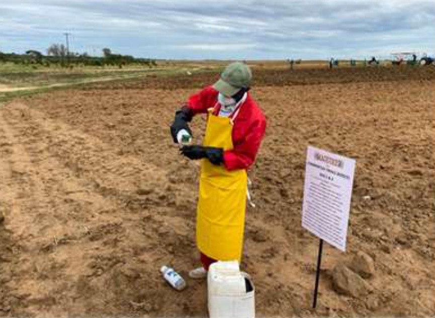 Measuring chemicals to apply into the planting water