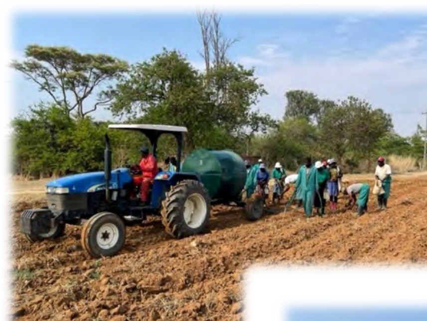 Tractor working the trial land at planting