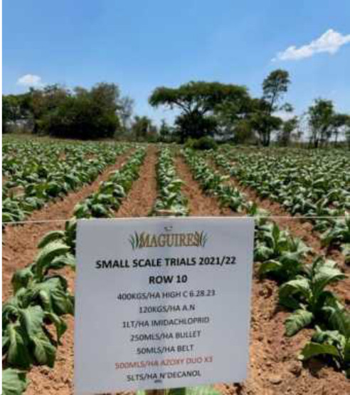 Trial sign for row 10 with the trialled chemical in red
