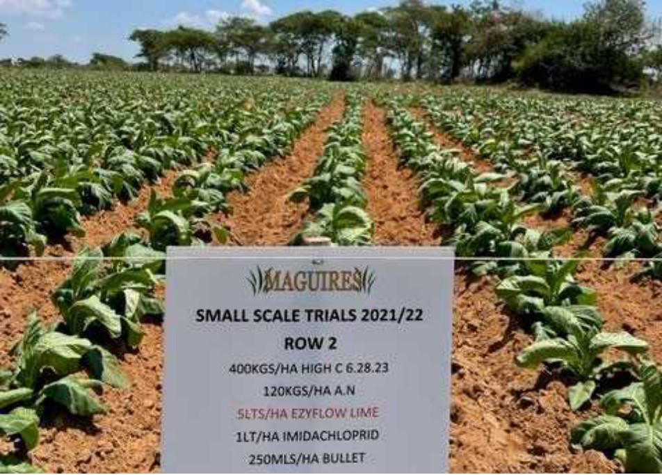 Trial sign for row 2 listing its treatments