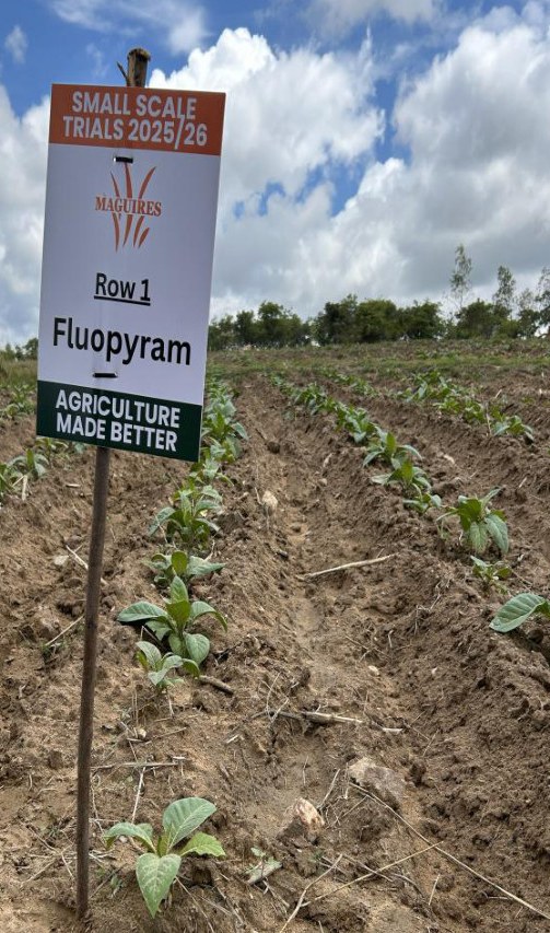Trial sign in the field