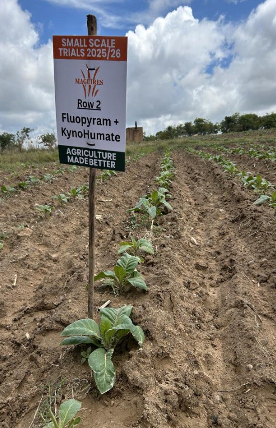 Second trial sign in the field