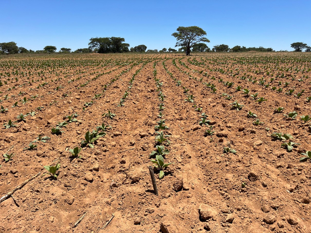 Azoxy Duo plot without Kynohumate, right of the peg