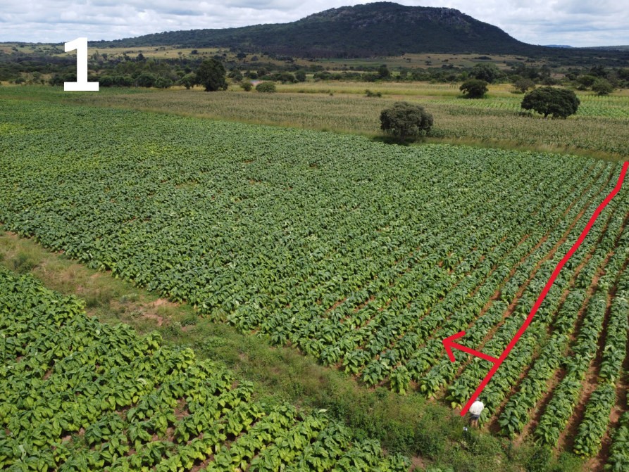 Control plot from above