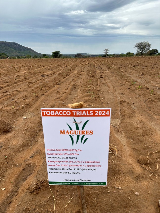 Tobacco Trials 2024 sign in the planted field