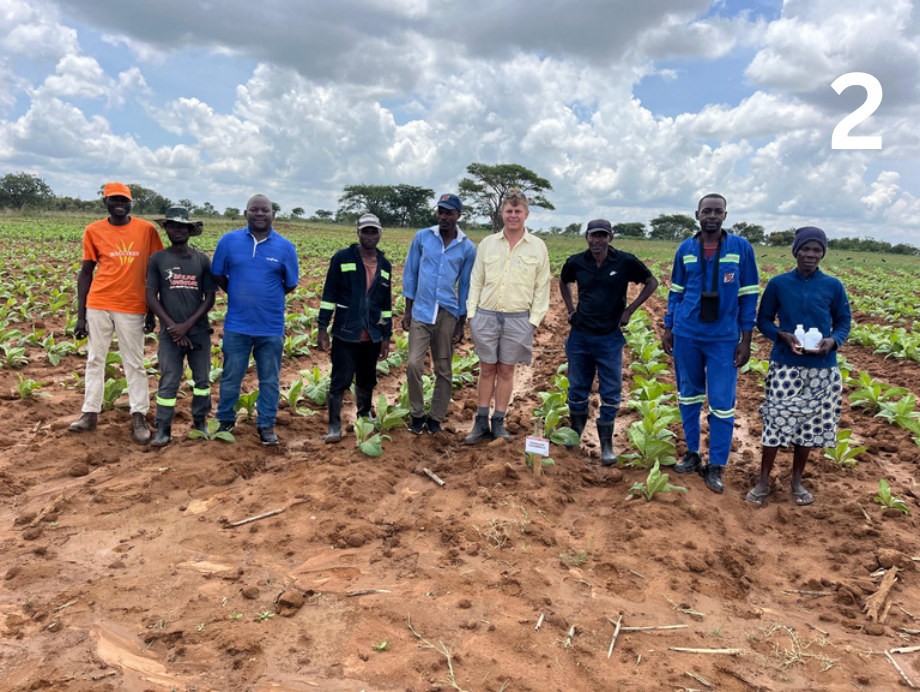 Field visit and application lesson