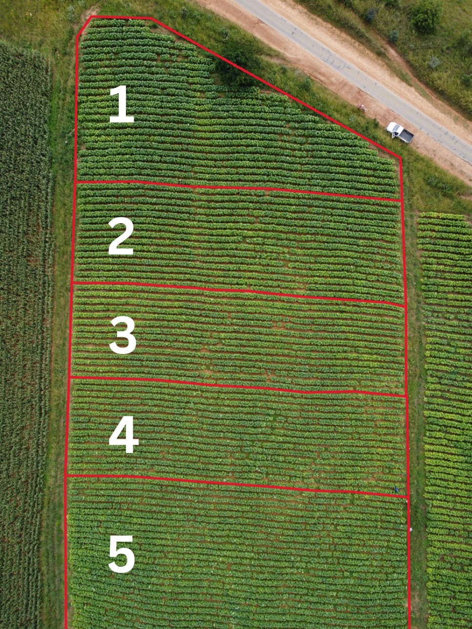 Aerial view of the five trial plots marked 1 to 5