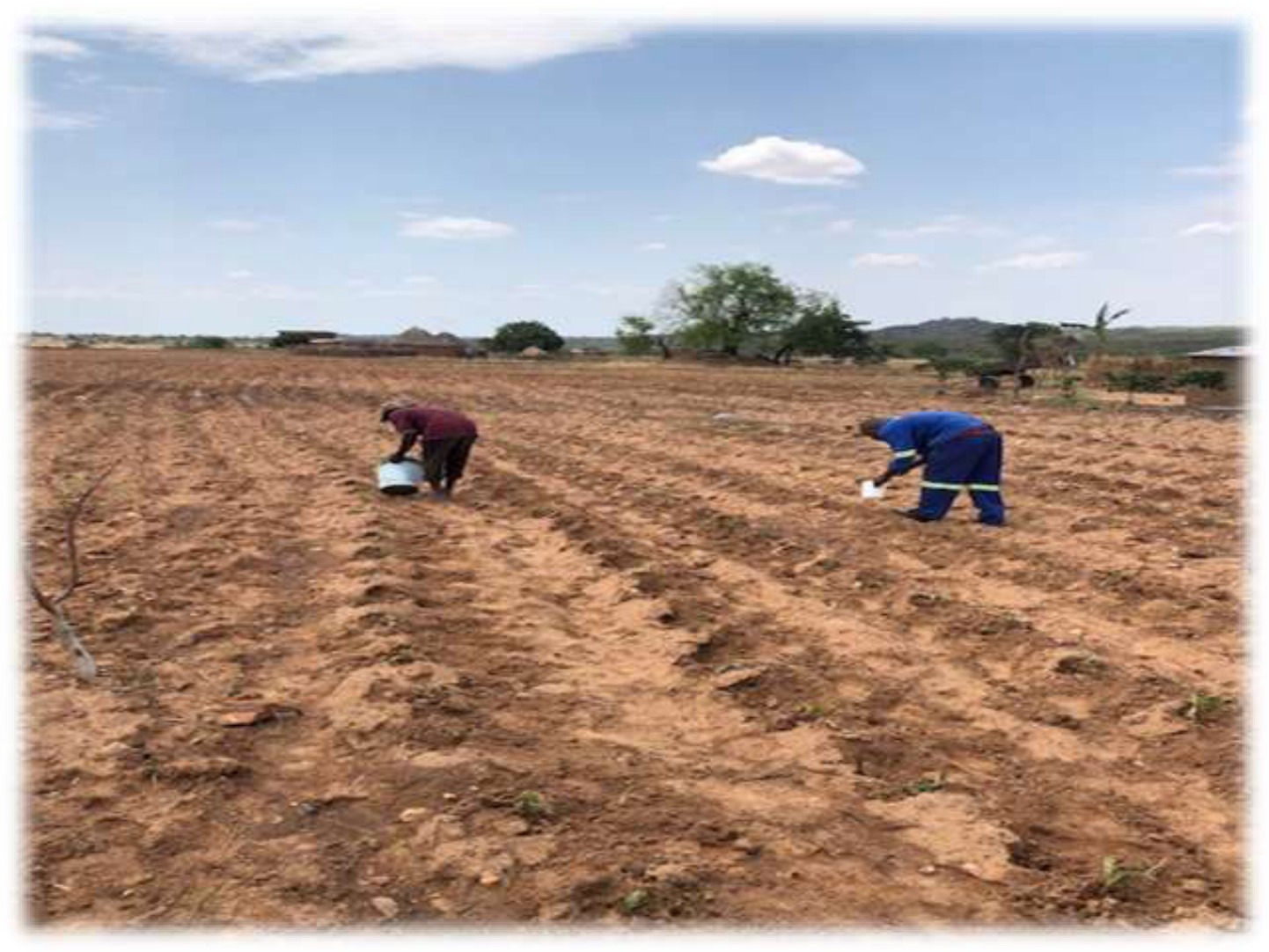 Applying trial chemicals in the lands