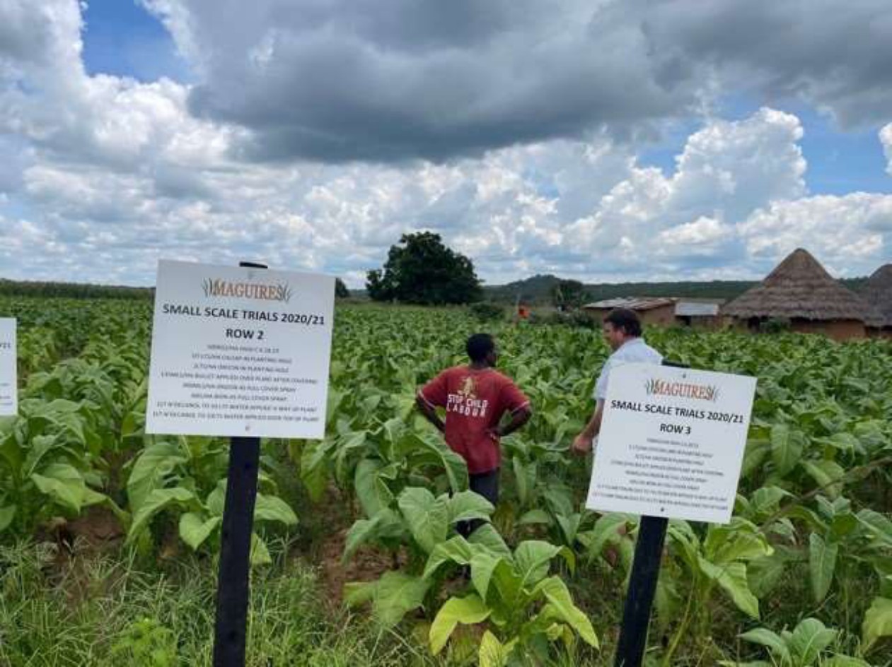 Inspecting the crop beside the trial signs