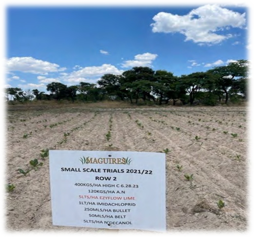 Trial sign for row 2 in the dry field