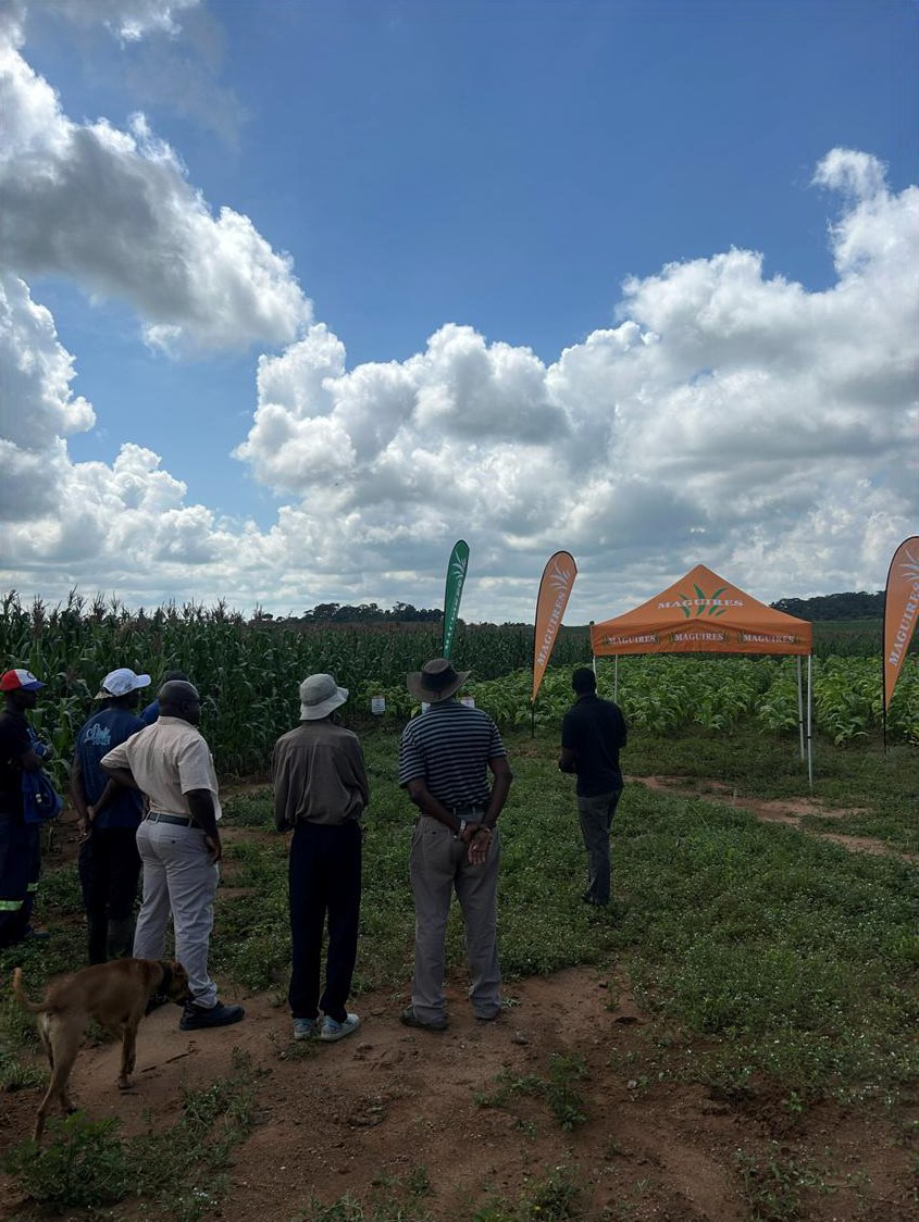 The group gathered in the trial on the field day
